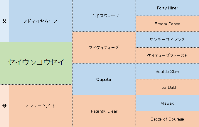 セイウンコウセイの分析 競馬分析 Com