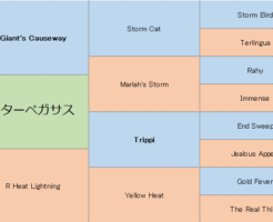 アスターペガサスの三代血統表
