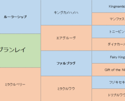 グランレイの三代血統表