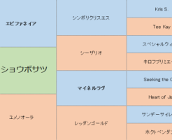 メイショウボサツの三代血統表